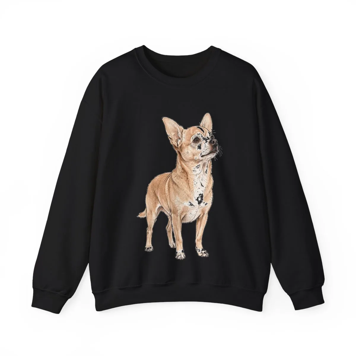Bruno standing at three-quarters, printed on a crewneck sweatshirt