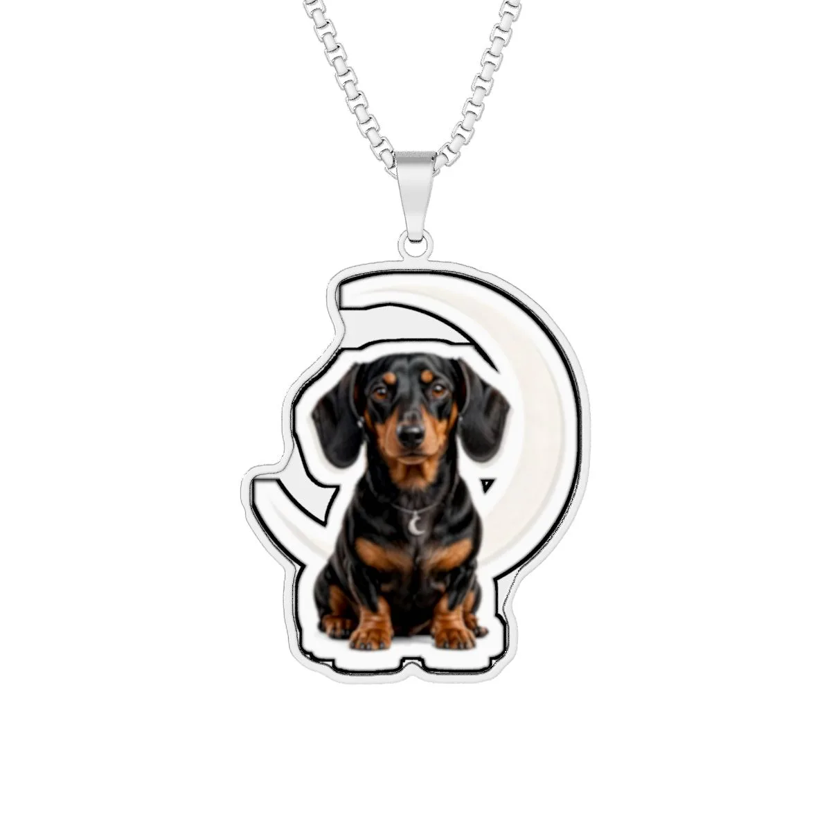 The custom-cut photo pendant in Stainless Steel, with the SalchiLuna design printed on it