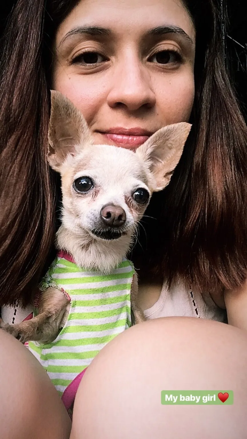 Florencia holding Chanel, a tiny cream teacup Chihuahua in a green-and-white striped outfit, close against her face; the phone-story caption reads 'My baby girl' with a heart